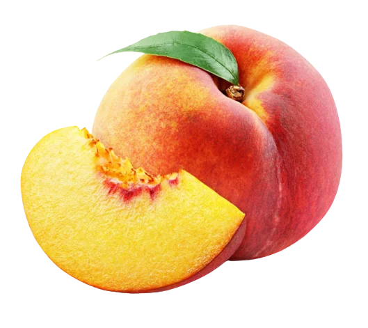 Pêche