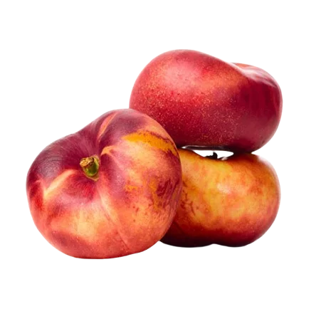 Pêche plate