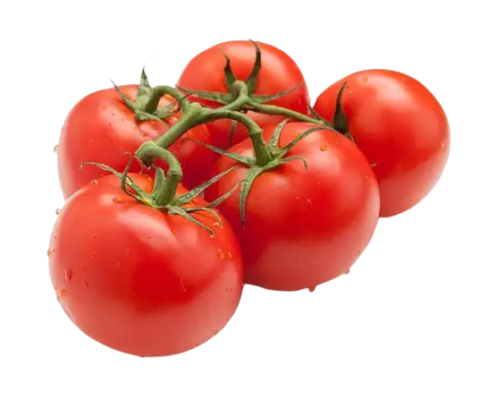Tomate Grappe