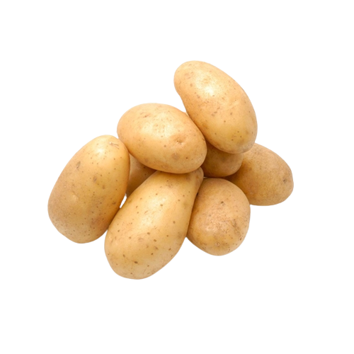 Pomme de terre "Spunta"