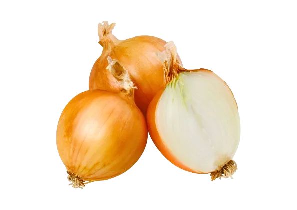 Oignon jaune