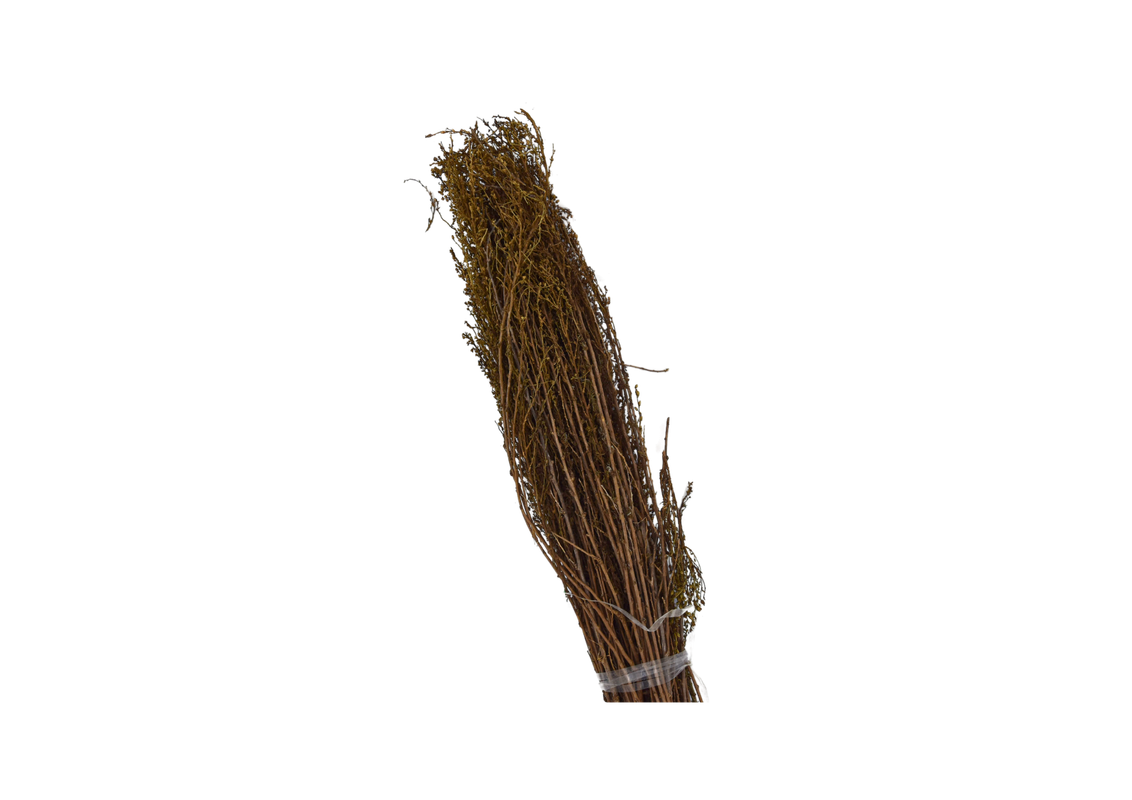 Branche d'armoise 100g