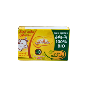 DAMTI BOUILLON BOEUF BIO 8 PIECES IDEAL 76g