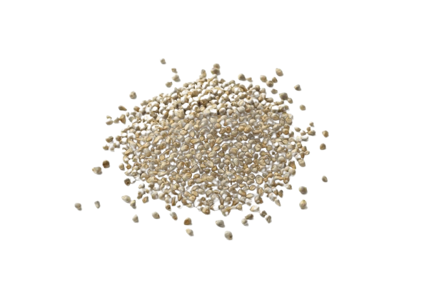 Graine de Millet Le 100g